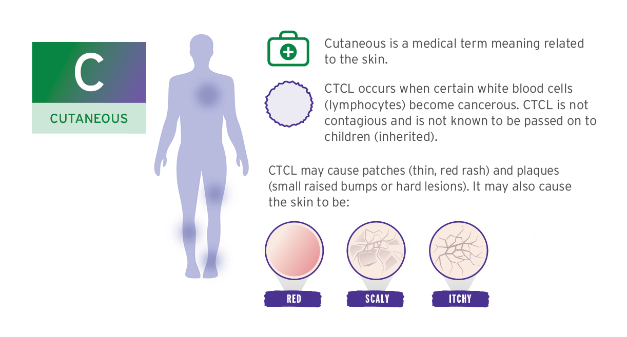 C Cutaneous Slide